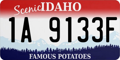 ID license plate 1A9133F