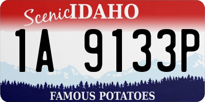ID license plate 1A9133P