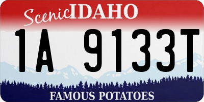ID license plate 1A9133T