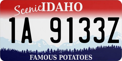 ID license plate 1A9133Z