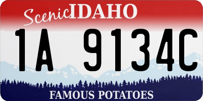 ID license plate 1A9134C