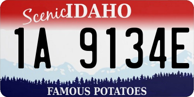 ID license plate 1A9134E