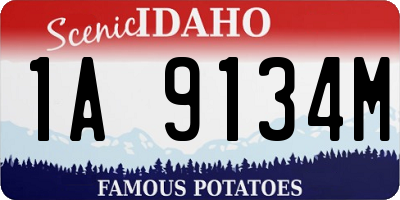 ID license plate 1A9134M