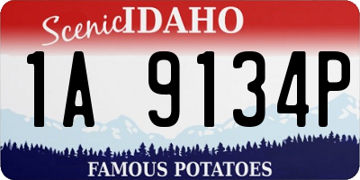 ID license plate 1A9134P