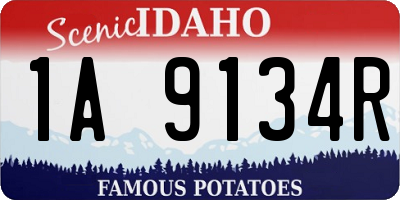 ID license plate 1A9134R