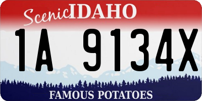 ID license plate 1A9134X