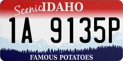 ID license plate 1A9135P