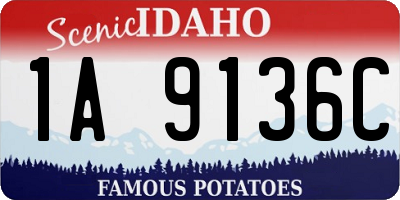ID license plate 1A9136C