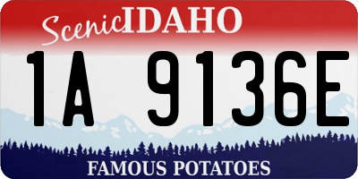 ID license plate 1A9136E