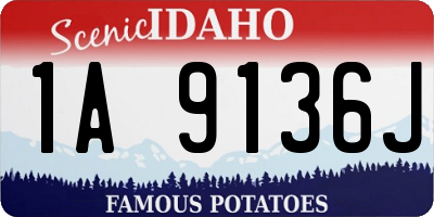 ID license plate 1A9136J