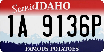 ID license plate 1A9136P
