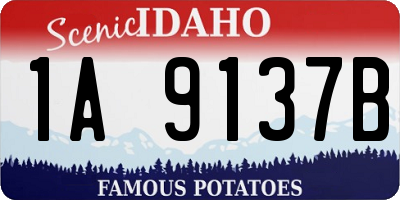 ID license plate 1A9137B