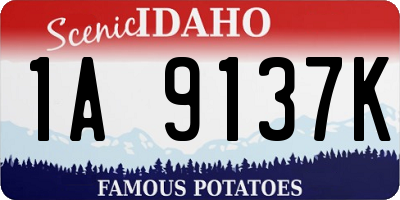 ID license plate 1A9137K