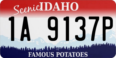 ID license plate 1A9137P