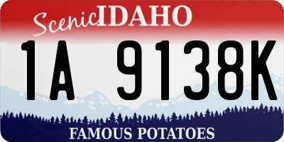 ID license plate 1A9138K
