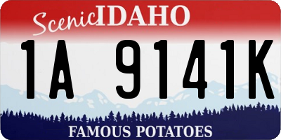 ID license plate 1A9141K