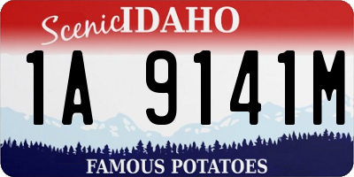 ID license plate 1A9141M