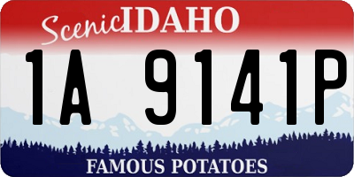 ID license plate 1A9141P