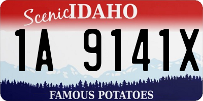ID license plate 1A9141X
