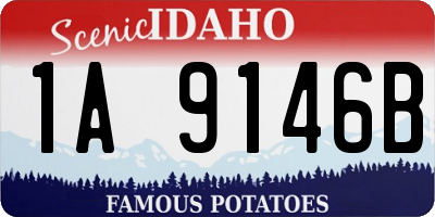 ID license plate 1A9146B