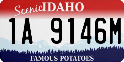 ID license plate 1A9146M