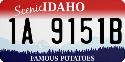 ID license plate 1A9151B