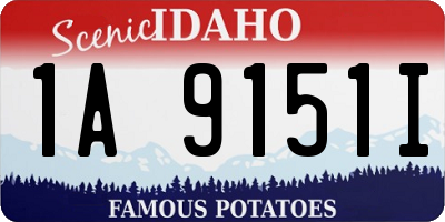 ID license plate 1A9151I