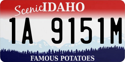 ID license plate 1A9151M