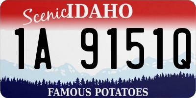 ID license plate 1A9151Q