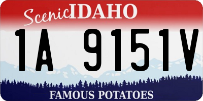ID license plate 1A9151V
