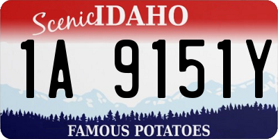 ID license plate 1A9151Y
