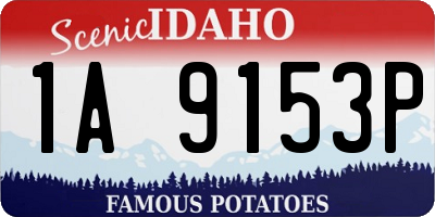 ID license plate 1A9153P
