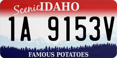 ID license plate 1A9153V