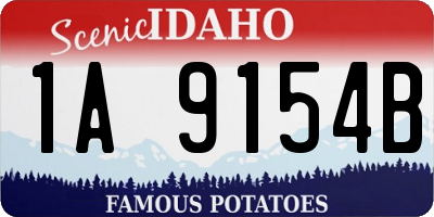 ID license plate 1A9154B
