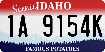 ID license plate 1A9154K