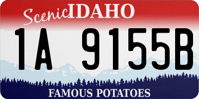 ID license plate 1A9155B