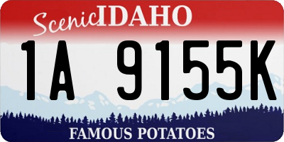 ID license plate 1A9155K