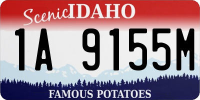 ID license plate 1A9155M