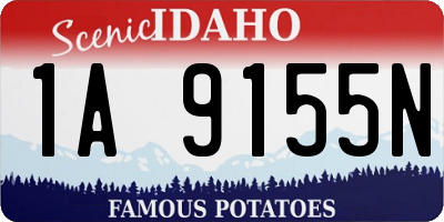 ID license plate 1A9155N