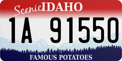 ID license plate 1A9155O