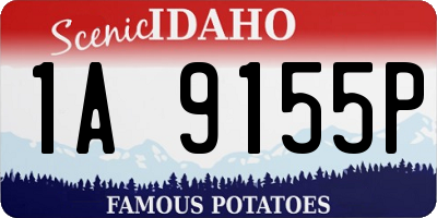 ID license plate 1A9155P
