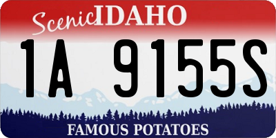 ID license plate 1A9155S