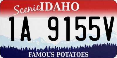 ID license plate 1A9155V