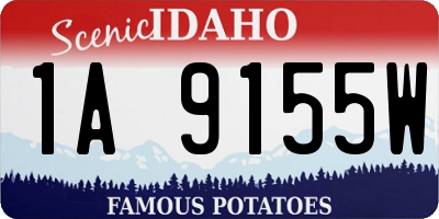 ID license plate 1A9155W