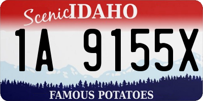 ID license plate 1A9155X