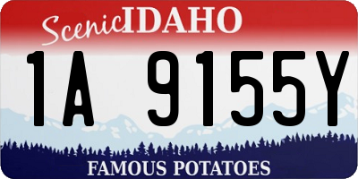 ID license plate 1A9155Y