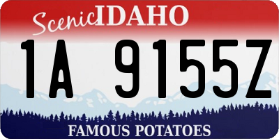 ID license plate 1A9155Z