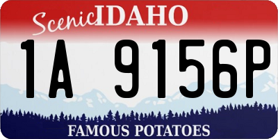 ID license plate 1A9156P