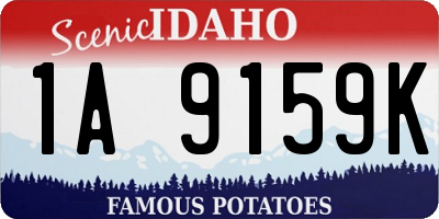 ID license plate 1A9159K