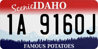 ID license plate 1A9160J